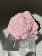 Beautiful pink rhodochrosite cluster displayed on a clear stand, showcasing its sparkling crystal formations.