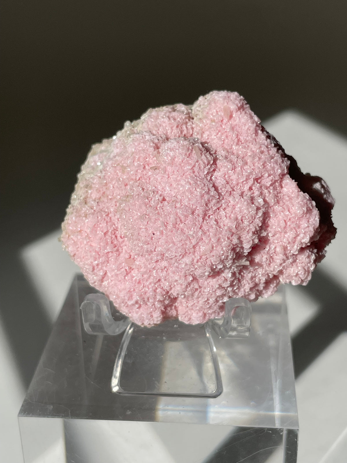 Beautiful pink rhodochrosite cluster displayed on a clear stand, showcasing its sparkling crystal formations.