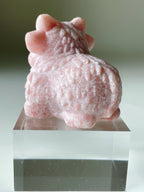 Pink Opal Highland Cow