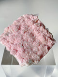 Rhodochrosite cluster with a soft pink hue, showcasing sparkling crystal formations on a clear display stand.