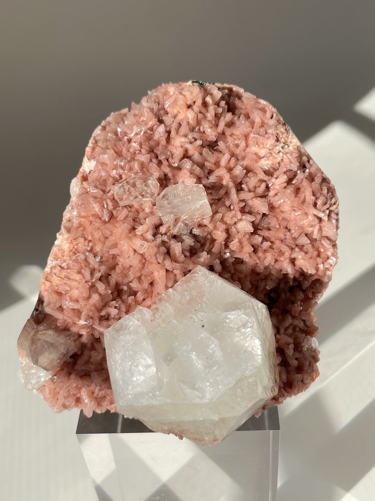 Beautiful pink Heulandite and Apophyllite crystal specimen on a clear display stand, showcasing intricate textures.