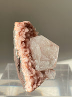Beautiful pink Heulandite and Apophyllite crystal specimens displayed on a clear stand.