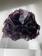 Stepped Purple Fluorite - Henan, China