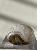 Scenic moss agate palm stone with earthy tones and intricate patterns, displayed on a clear stand.