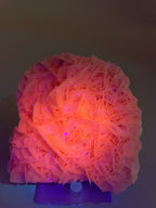 Stunning petal bladed calcite specimen with vibrant orange hues, showcasing intricate crystal formations.