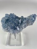 Beautiful Madagascar celestite cluster with shimmering blue crystals, displayed on a clear stand.