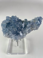 Beautiful Madagascar celestite cluster with shimmering blue crystals, displayed on a clear stand.