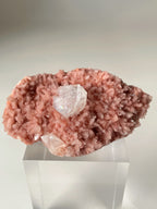 Pink Heulandite and Apophyllite crystal specimen displayed on a clear stand, showcasing its beautiful texture and color.