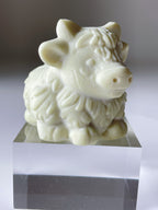 Avocado She Tai Cui Highland Cow
