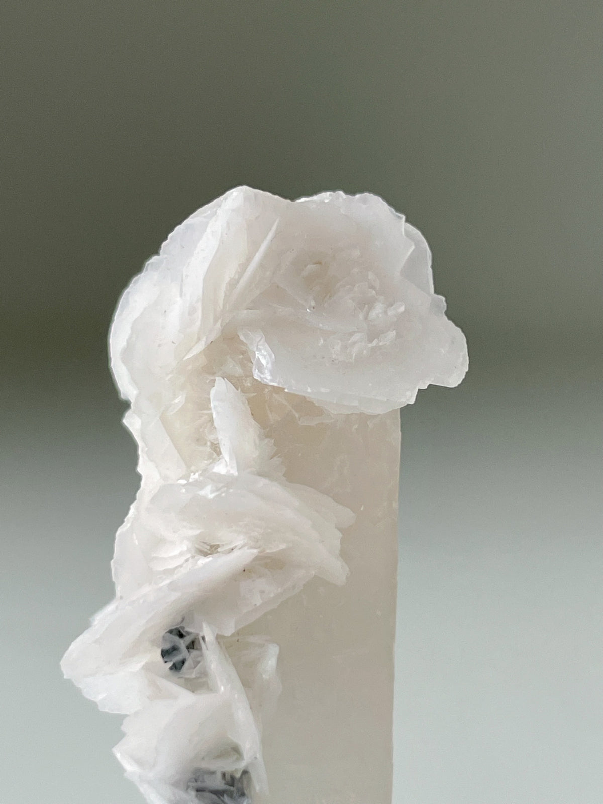 Flower Calcite on Quartz - Inner Mongolia, China