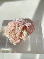 Rhodochrosite cluster with soft pink hues, displayed on a clear stand, showcasing its natural texture and beauty.