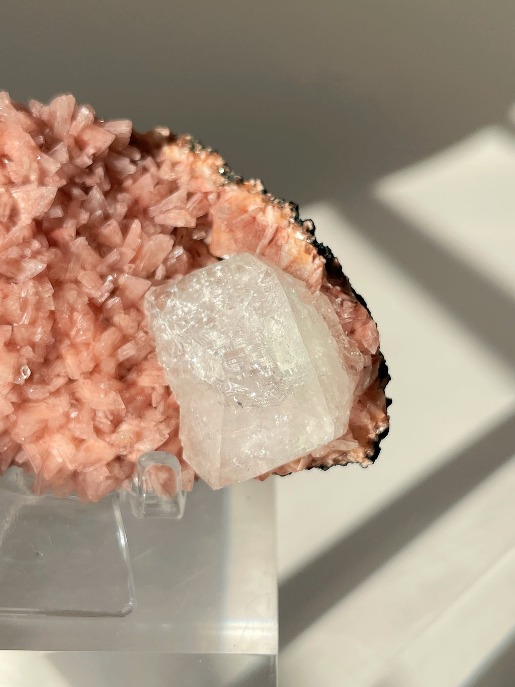 Beautiful pink Heulandite and Apophyllite crystal specimen on a display stand, showcasing intricate textures and colors.