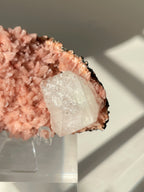 Beautiful pink Heulandite and Apophyllite crystal specimen on a display stand, showcasing intricate textures and colors.