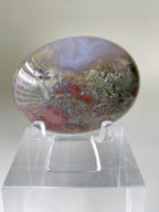 Scenic moss agate palm stone displayed on a clear stand, showcasing earthy tones and intricate patterns.