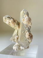 Beautiful crystal specimen featuring Petal Calcite on Quartz, showcasing unique formations and textures.