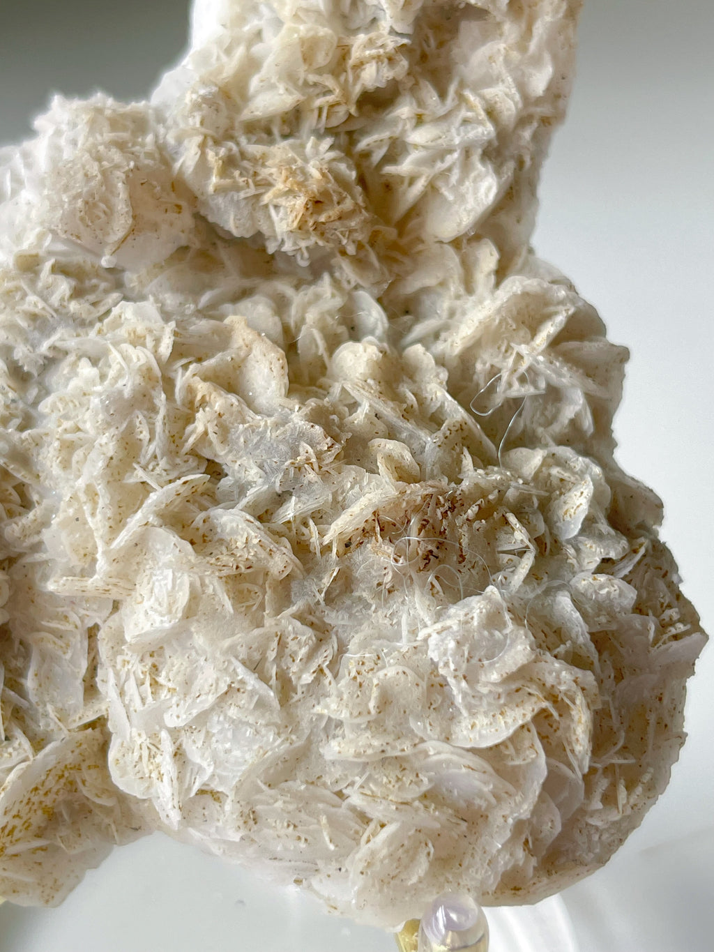 Bladed petal calcite specimen featuring a textured, layered surface, showcasing natural mineral formations.