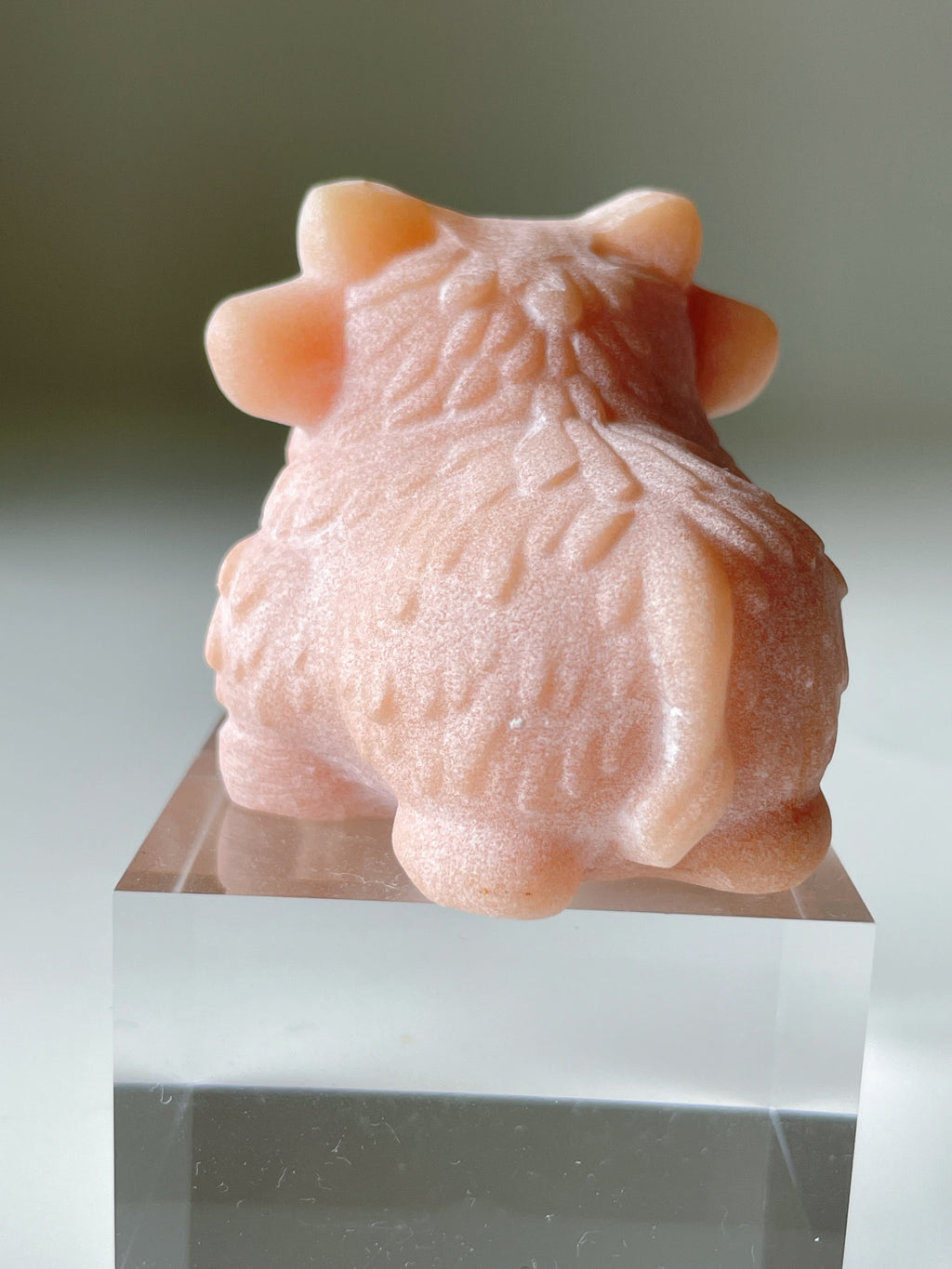 Peach She Tai Cui Highland Cow