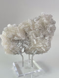Biscuit Calcite specimen showcasing intricate crystal formations, displayed elegantly on a clear stand.