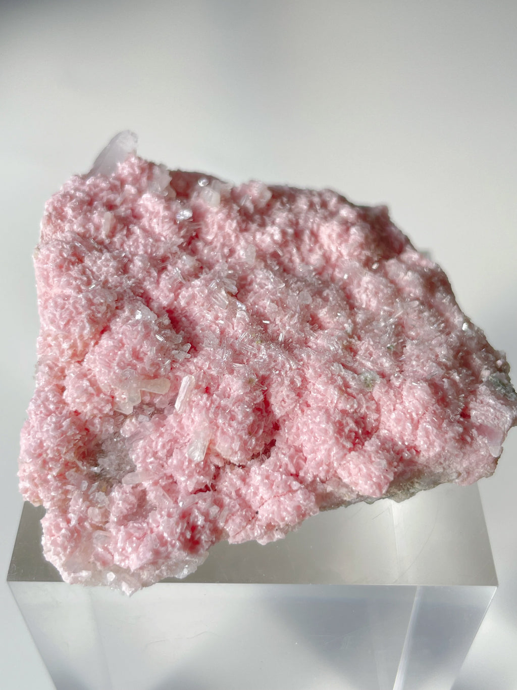 Beautiful rhodochrosite cluster with delicate pink crystals, displayed on a clear pedestal.