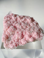 Beautiful rhodochrosite cluster with delicate pink crystals, displayed on a clear pedestal.