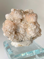 Beautiful bladed petal calcite specimen with delicate layers, displayed on a clear base.