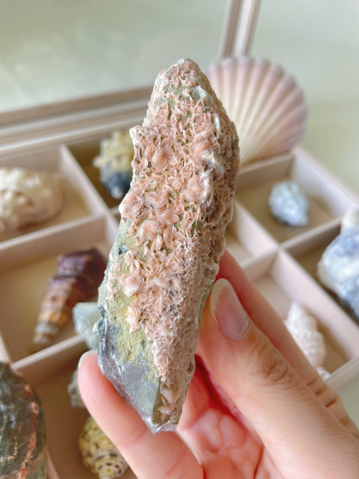 A hand holding a pink petal calcite specimen on quartz, showcasing its unique texture and colors.