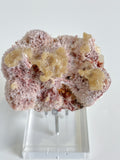 Pink Mordenite Specimen 4 - Maharashtra, India