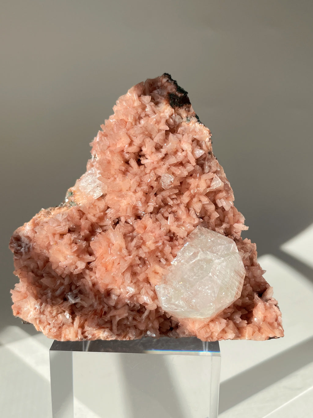 Beautiful pink Heulandite crystal specimen with Apophyllite on a clear display stand, showcasing intricate textures.