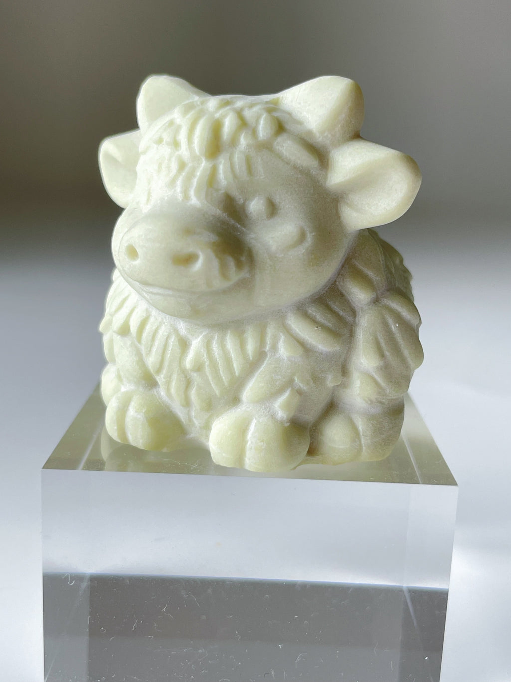 Avocado She Tai Cui Highland Cow