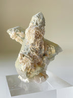 Unique Petal Calcite specimen on Quartz, showcasing delicate textures and natural beauty, displayed on a clear stand.