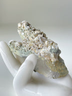Rosette petal calcite specimen on quartz, showcasing delicate textures and natural colors, held in a white hand sculpture.