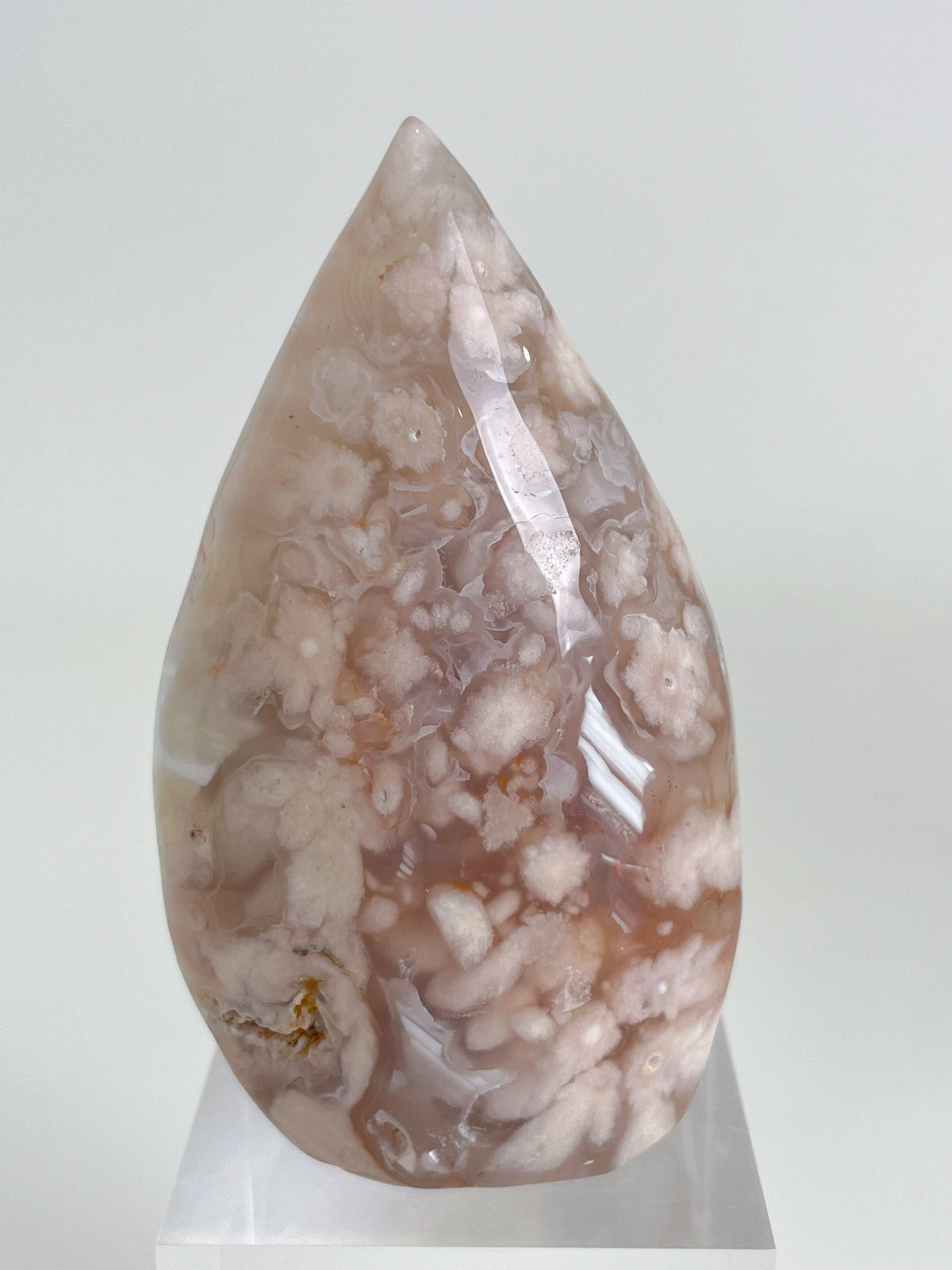 Flower Agate Freeform 5