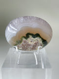 Scenic moss agate palm stone with earthy tones and intricate patterns, displayed on a clear stand.