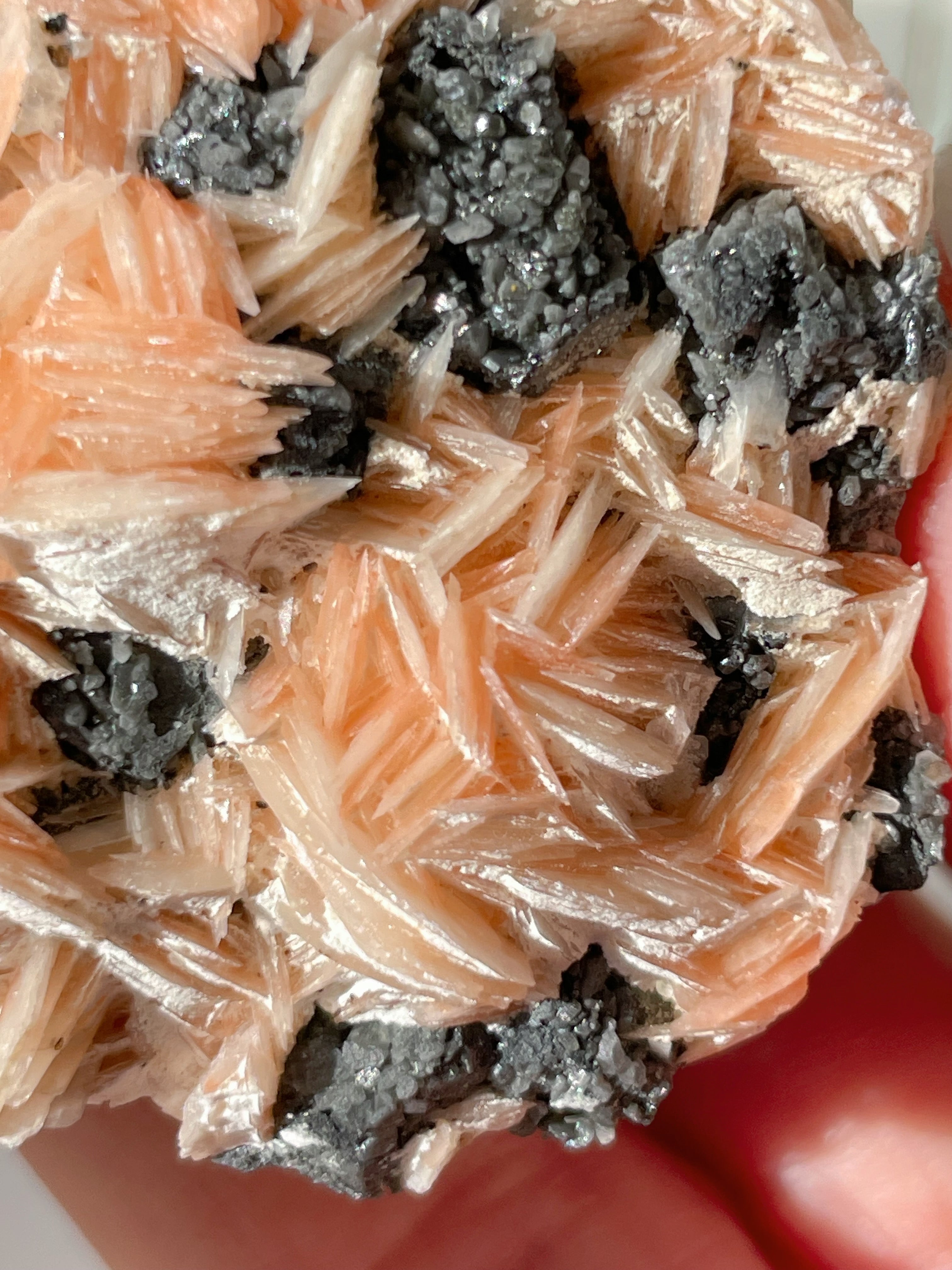 Barite on Cerussite and Galena - Morocco
