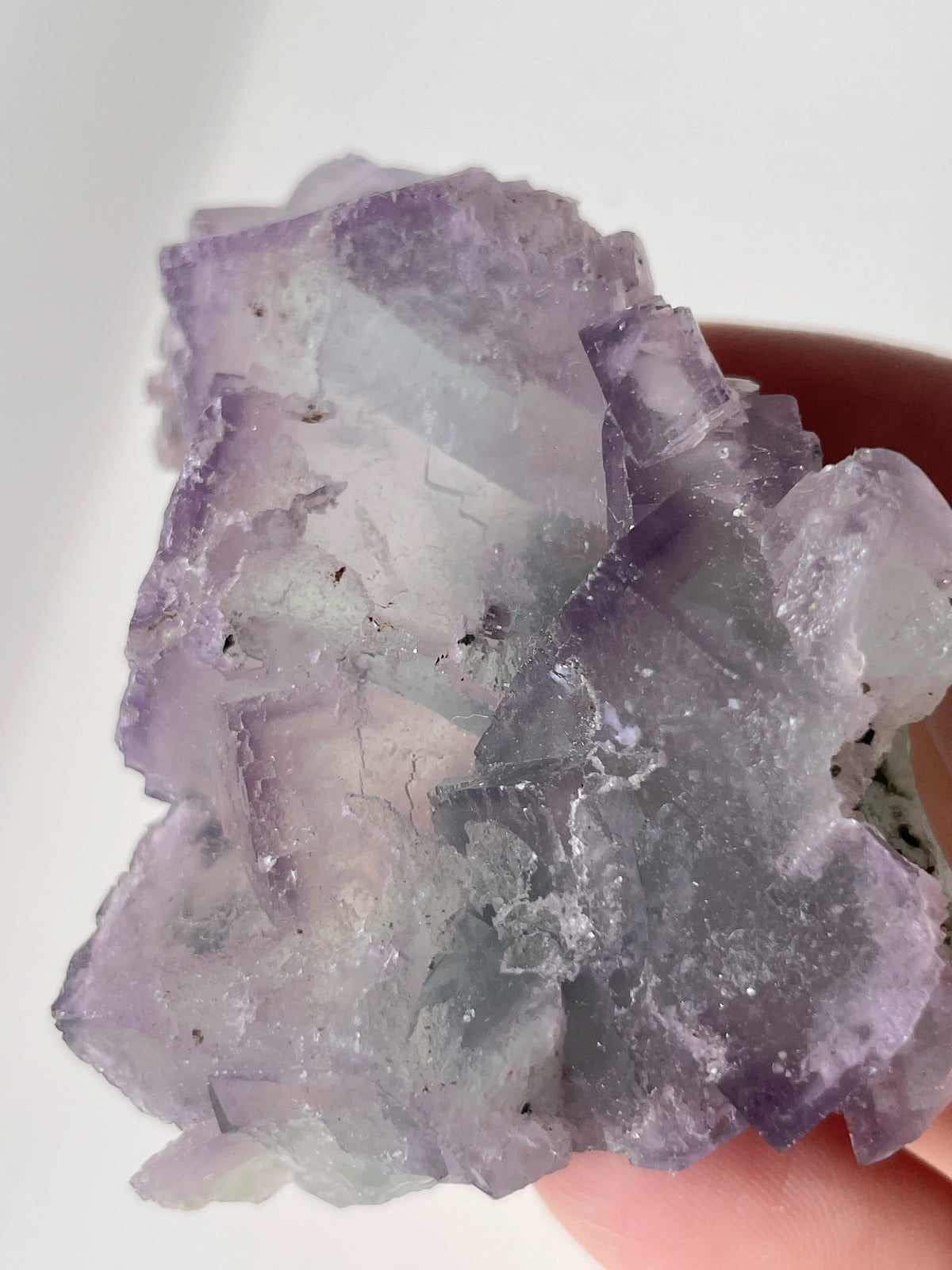 Beautiful fluorite crystal specimen showcasing delicate purple hues and intricate formations.