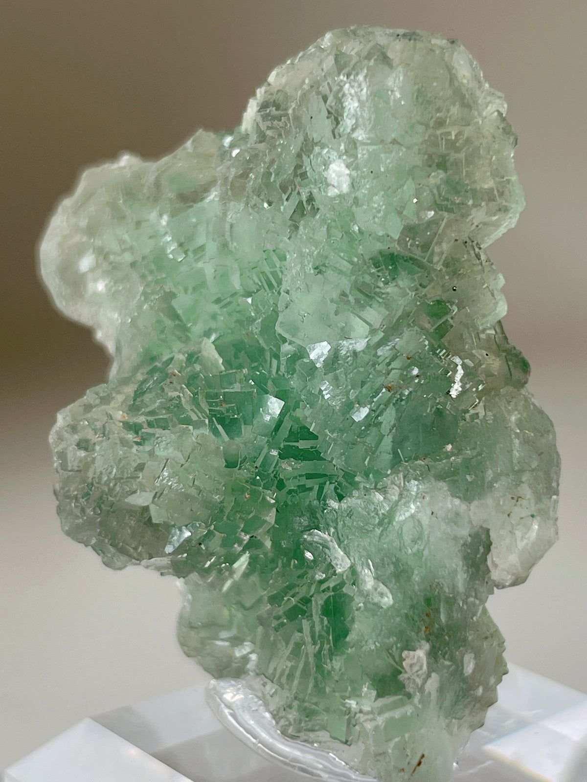 Glassy Green Fluorite - Fujian, China