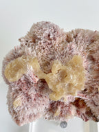 Pink Mordenite Specimen 4 - Maharashtra, India