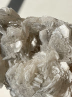 Beautiful biscuit calcite specimen showcasing intricate white crystal formations with a glossy finish.