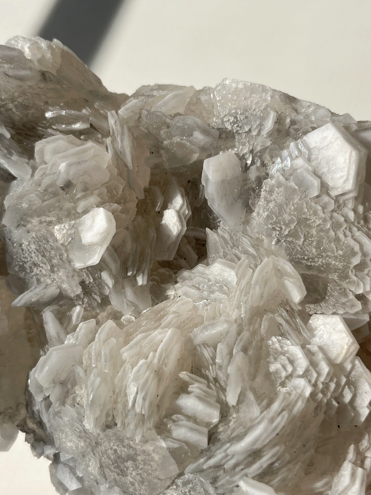 Beautiful biscuit calcite specimen showcasing intricate white crystal formations with a glossy finish.