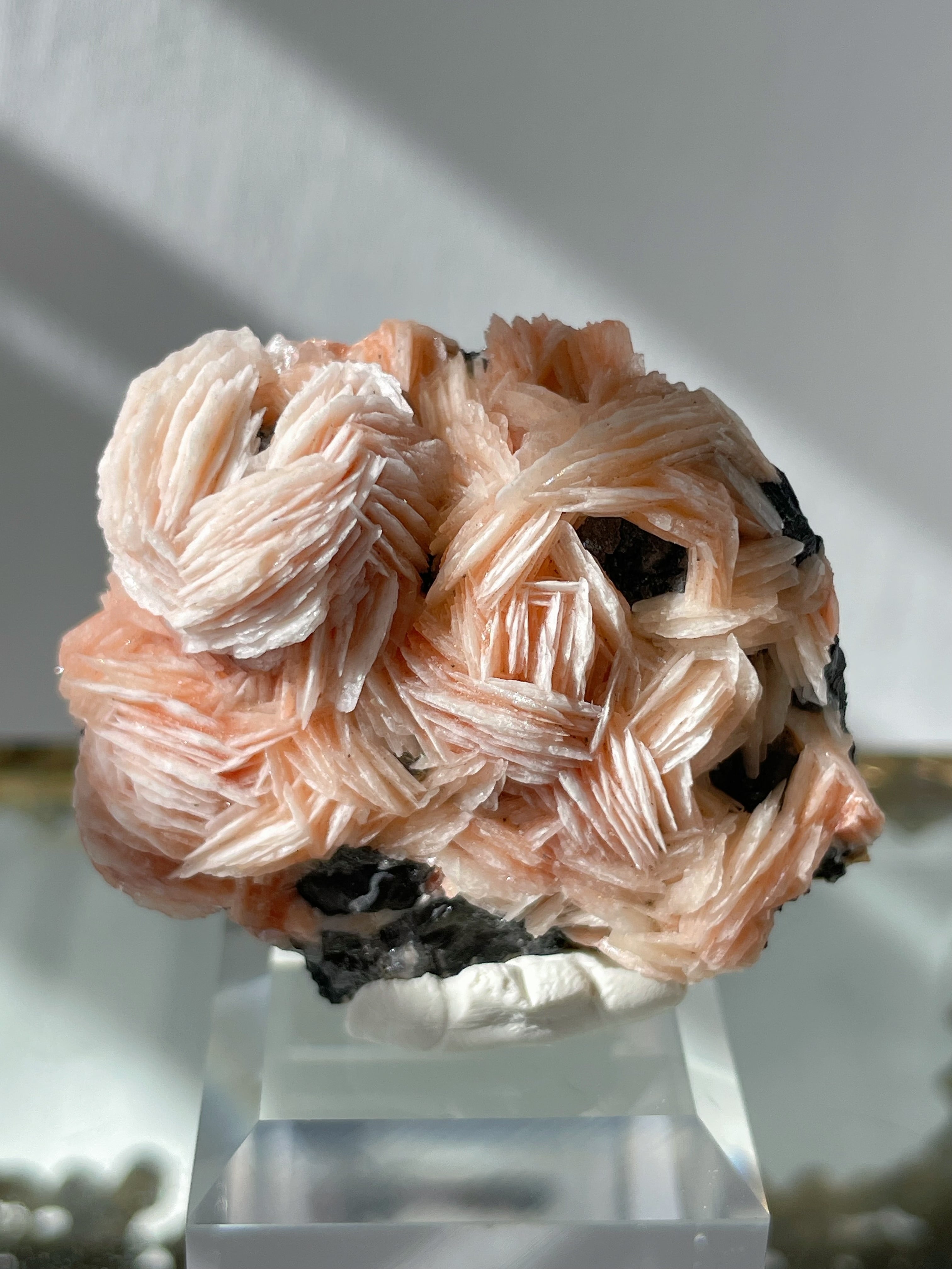Flower Barite on Cerussite and Galena - Morocco