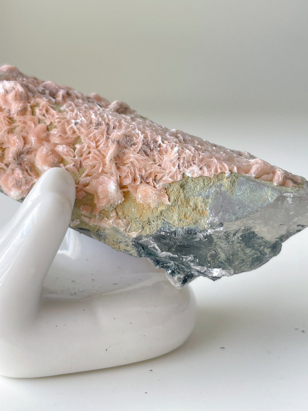 Beautiful pink petal calcite specimen on quartz, showcasing delicate textures and colors, displayed on a white holder.
