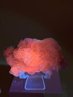 Bladed Calcite on Quartz - Fujian China